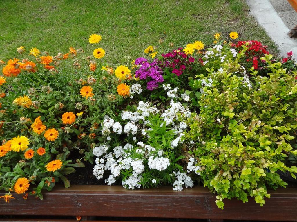 Cabanas De Nene Aparts إل كالافاتي المظهر الخارجي الصورة